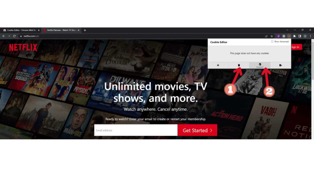 NETFLIX PREMIUM COOKIES v8.73.0 build 11 50438 MAIO 2023 (ATUALIZADO E 100%  FUNCIONANDO)