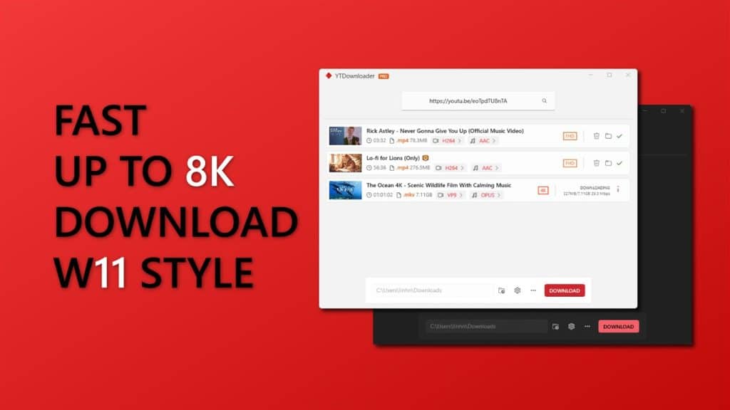 youtube video downloader for pc windows 11
